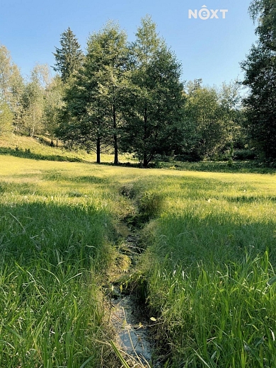 Prodej pozemku lesy pozemek 6838 m², Výprachtice,Ústí nad Orlicí,Pardubický kraj