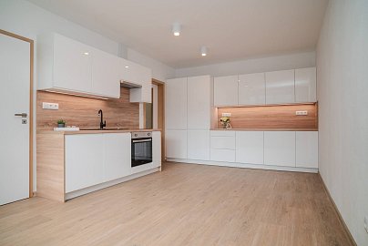 Pronájem bytu 2+kk 44 m², Loučovice