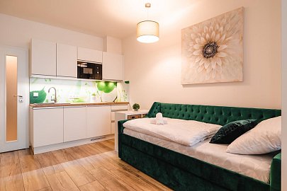 Prodej bytu 1+kk 33 m², Lipno nad Vltavou